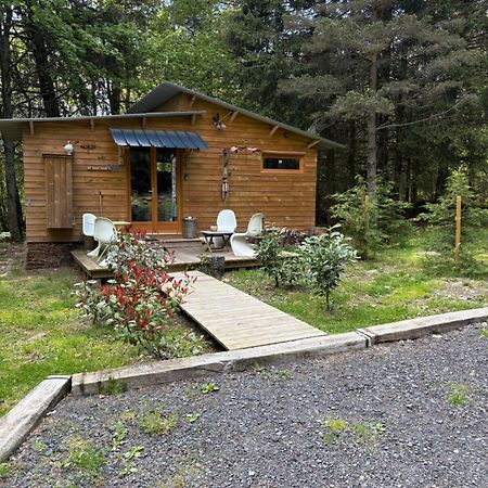 Chalet Libellule Domaine De La Mamounette Champclause Exteriér fotografie